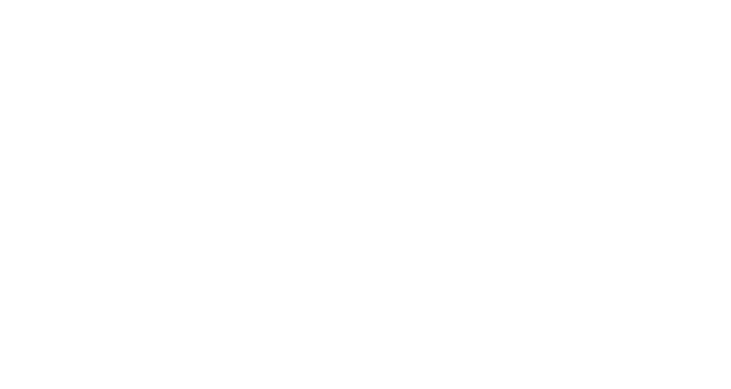 THE LEMON BOY